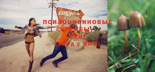 спиды Верея