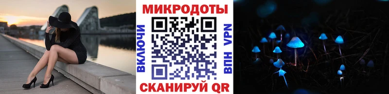 Галлюциногенные грибы Psilocybine cubensis  Купить где  Новосокольники 