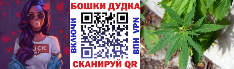 Бошки Шишки индика  Купить  Новосокольники 